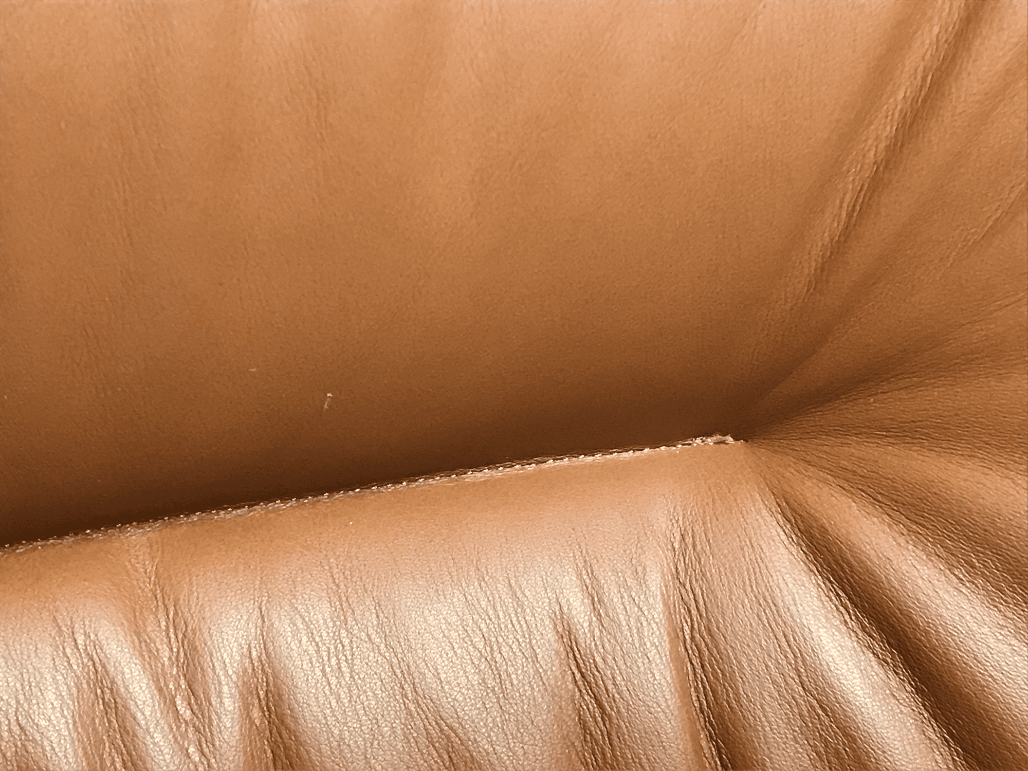 About A Lounge AAL 83 Soft Sessel