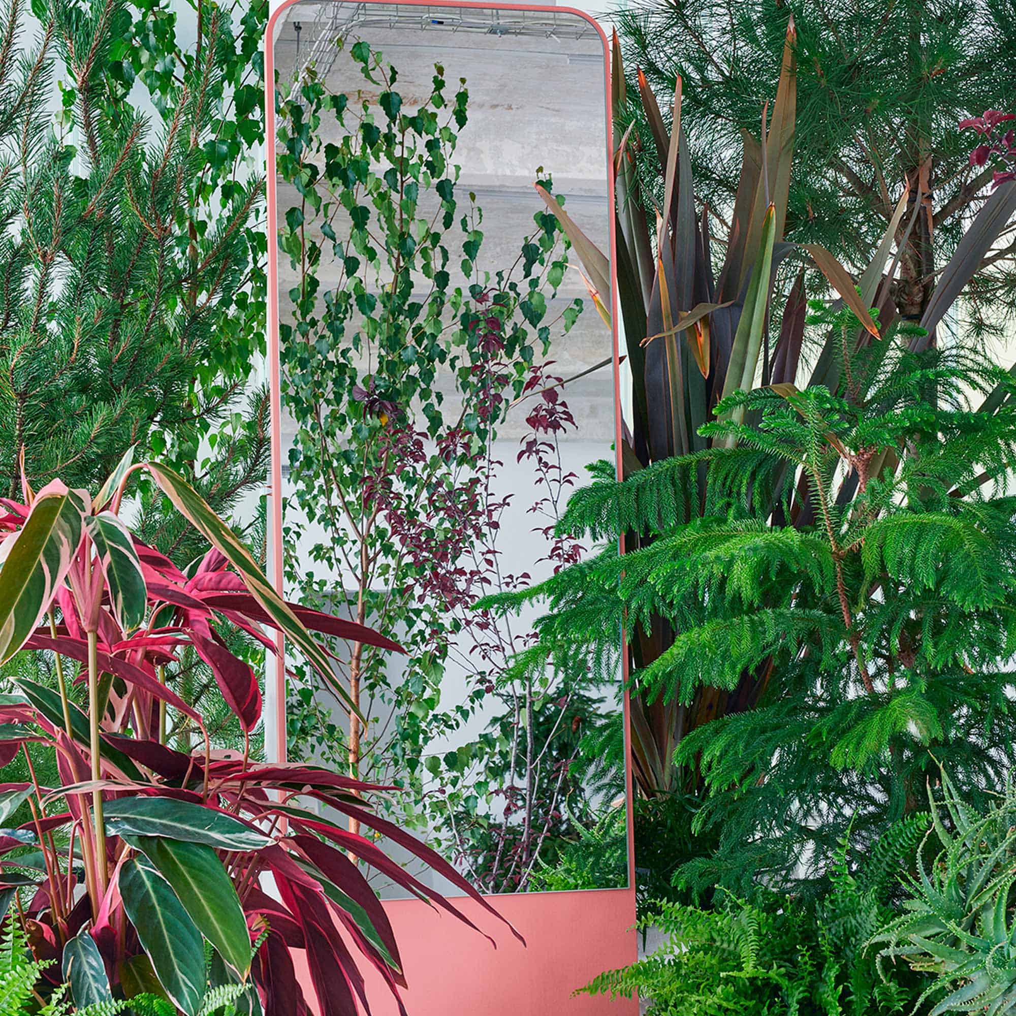 Friedrich Standspiegel