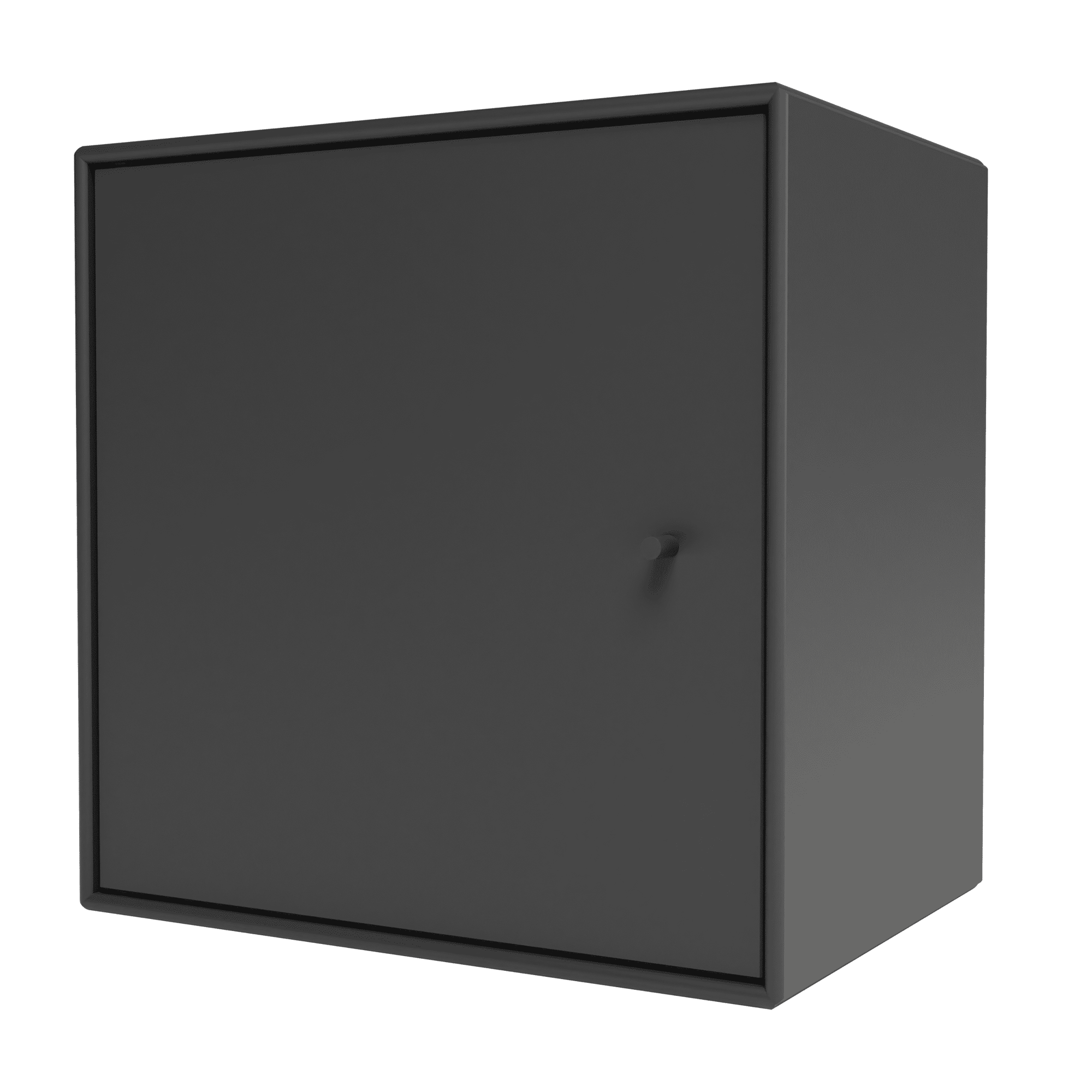 Mini 1003 Wandregal mit Tür links