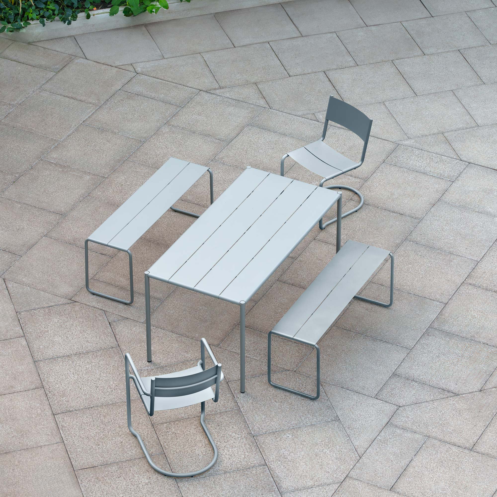 SINE Dining Arm Chair Stuhl