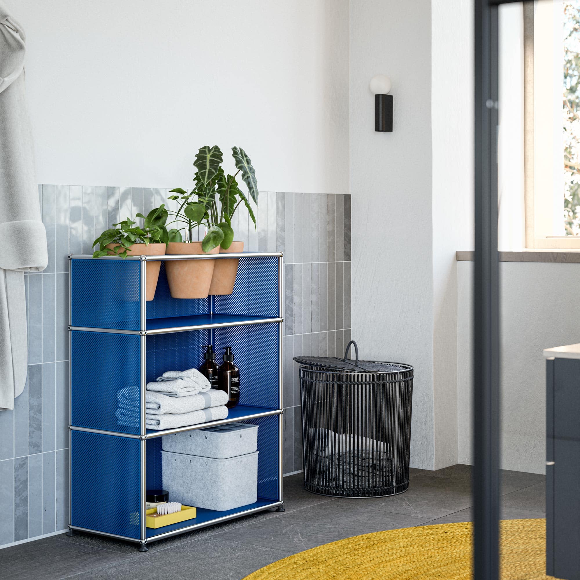 Haller Regal Pflanzenwelt