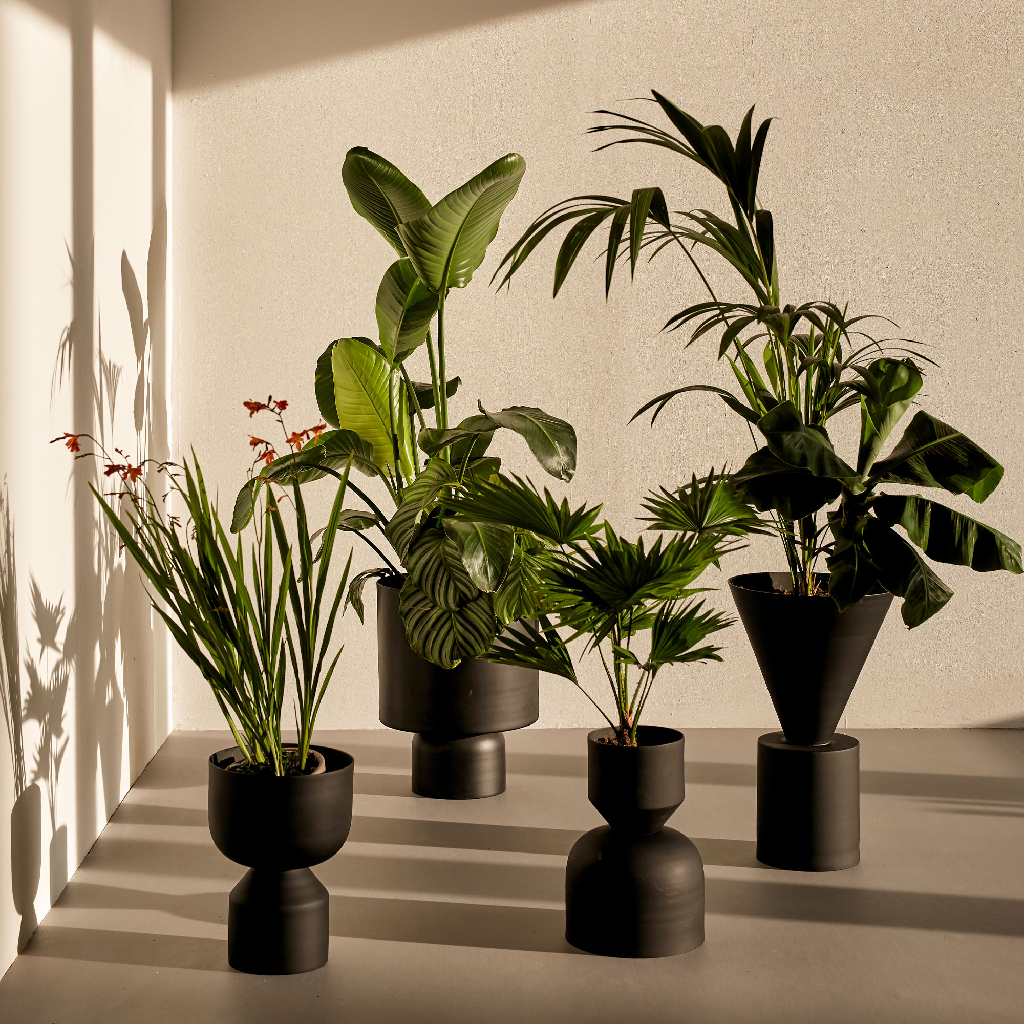 Ada Larg Blumentopf
