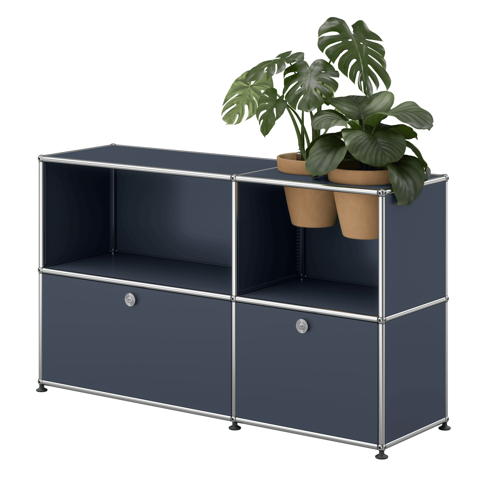 Haller Sideboard Pflanzenwelt