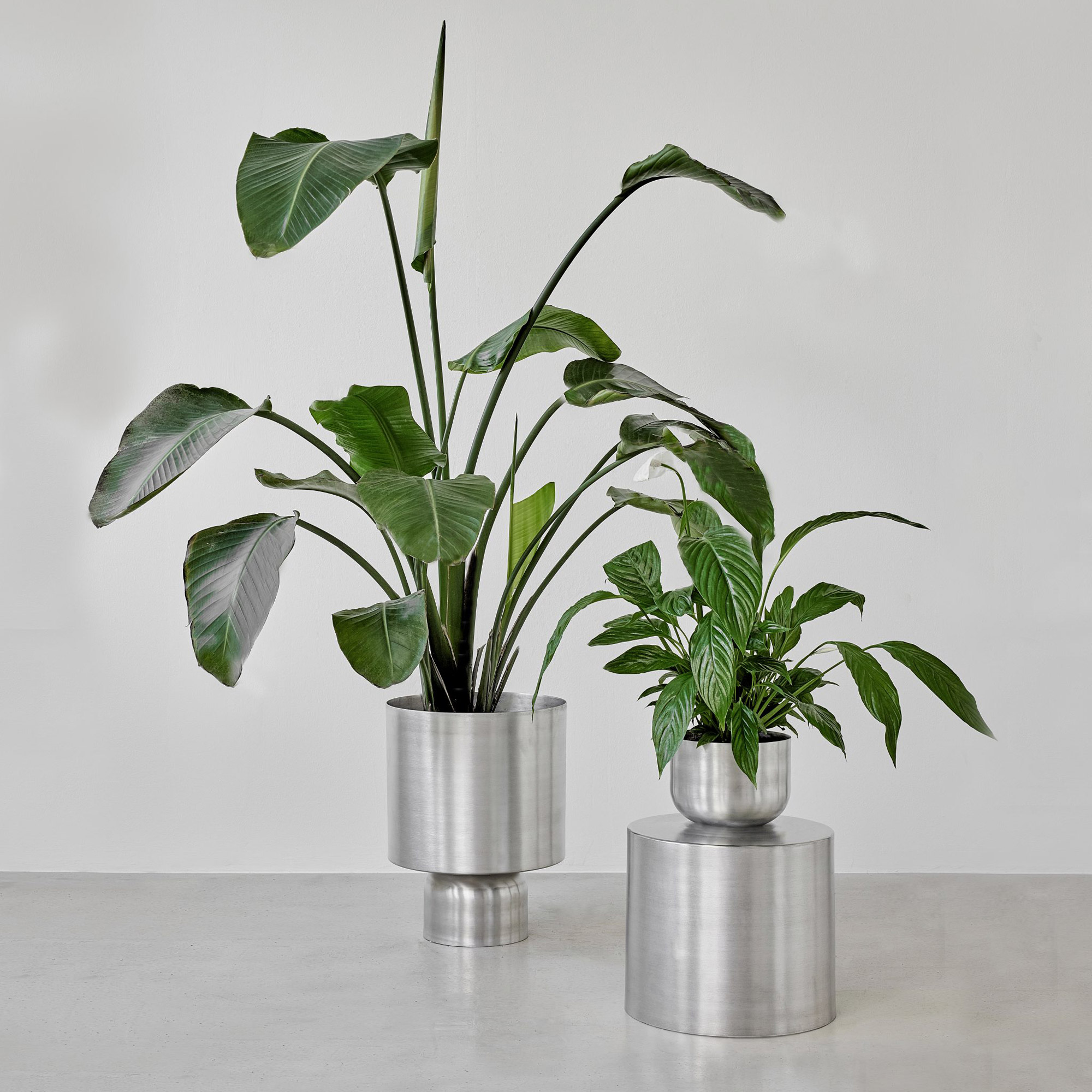 Ada Bold Blumentopf
