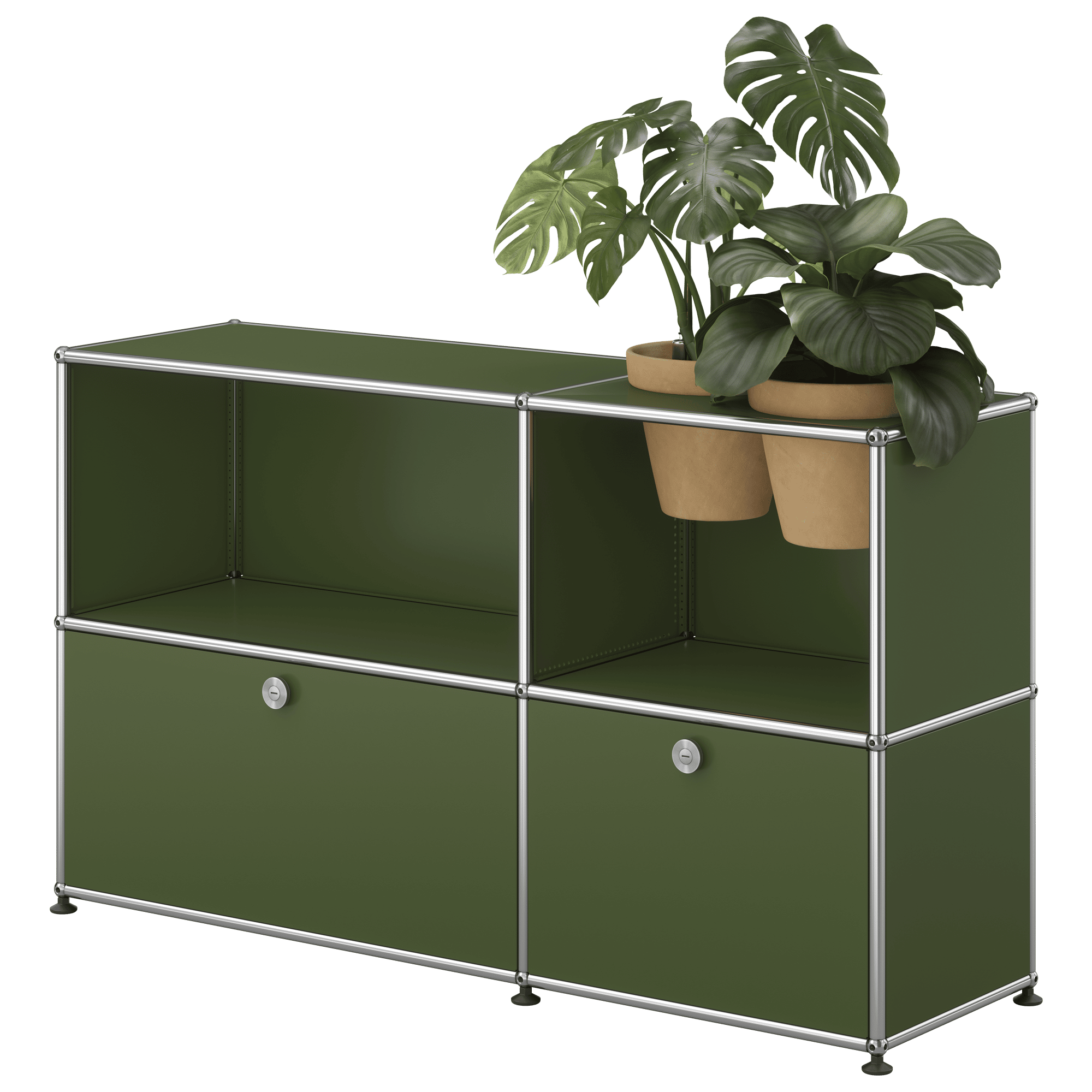 Haller Sideboard Pflanzenwelt