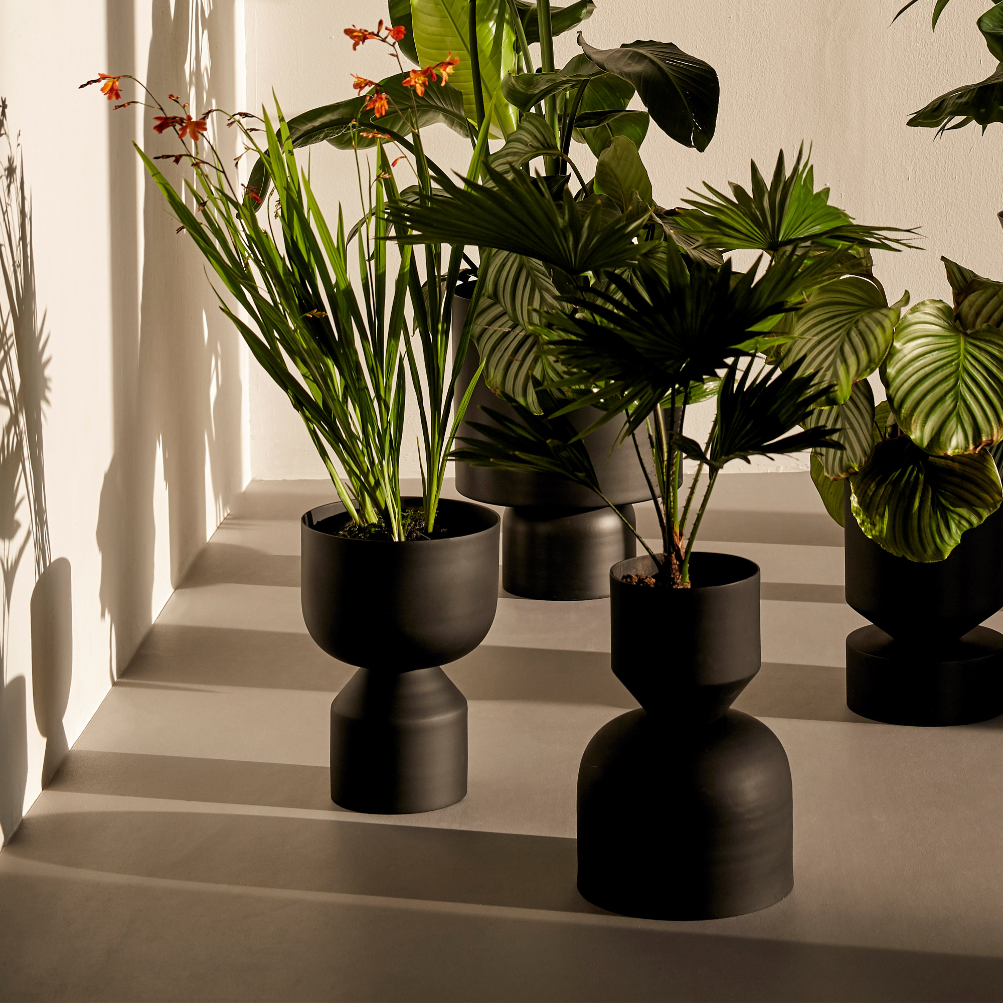 Ada Bold Blumentopf