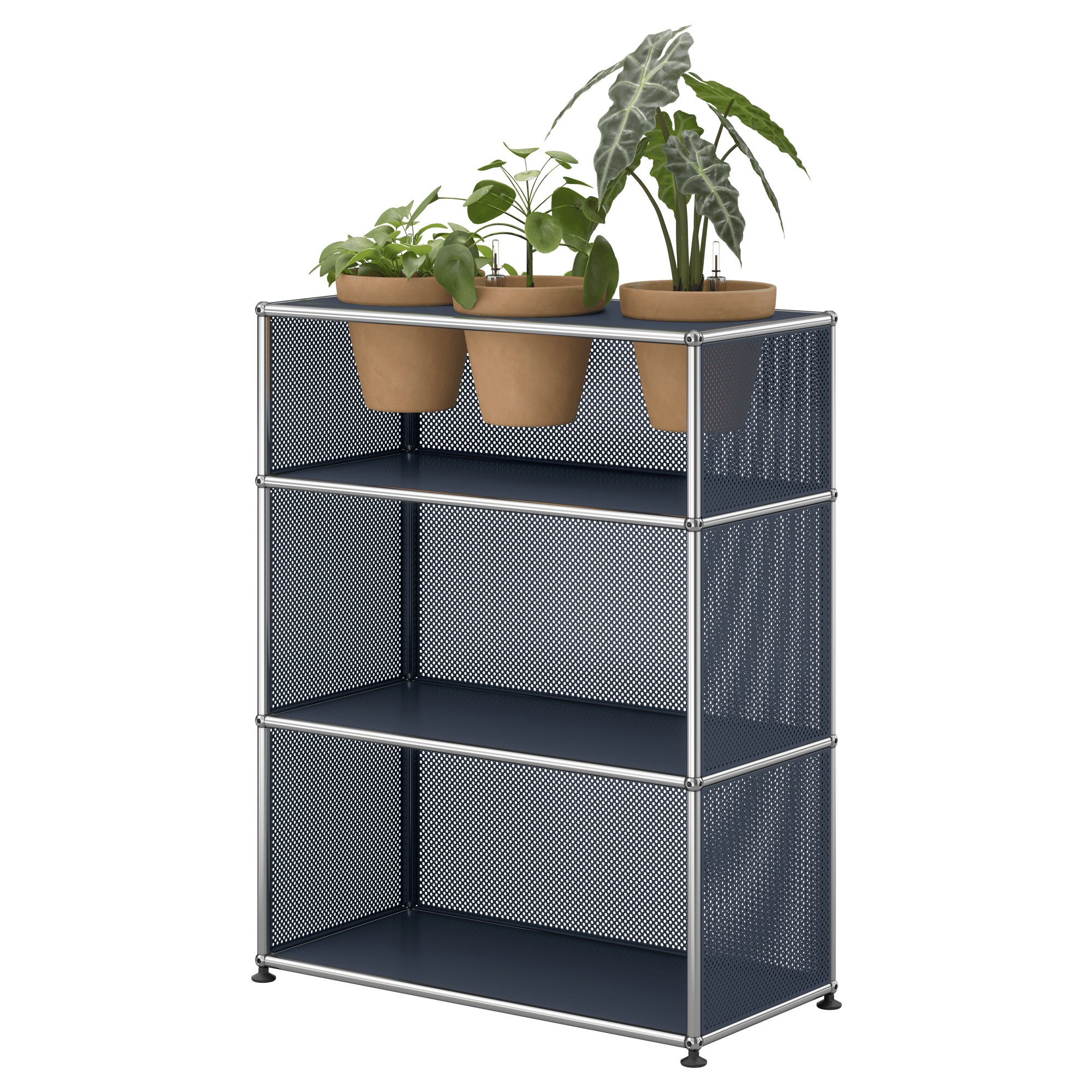 Haller Regal Pflanzenwelt