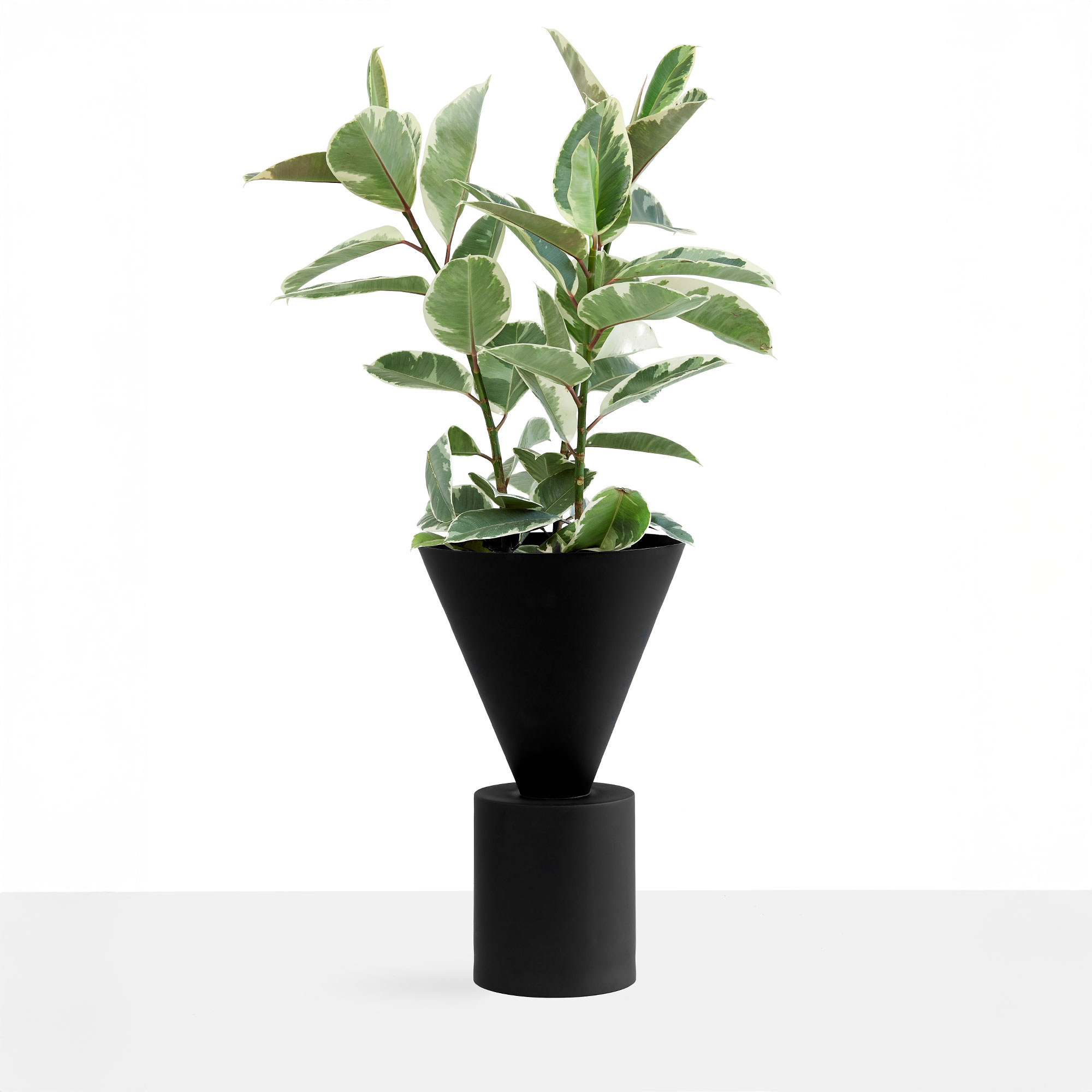 Ada Larg Blumentopf