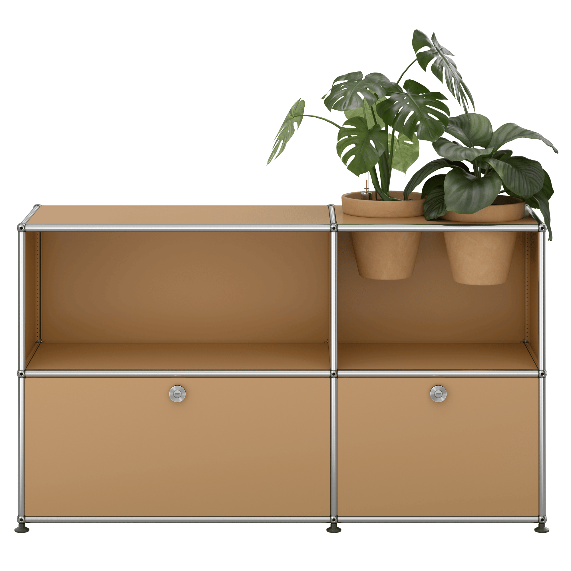 Haller Sideboard Pflanzenwelt