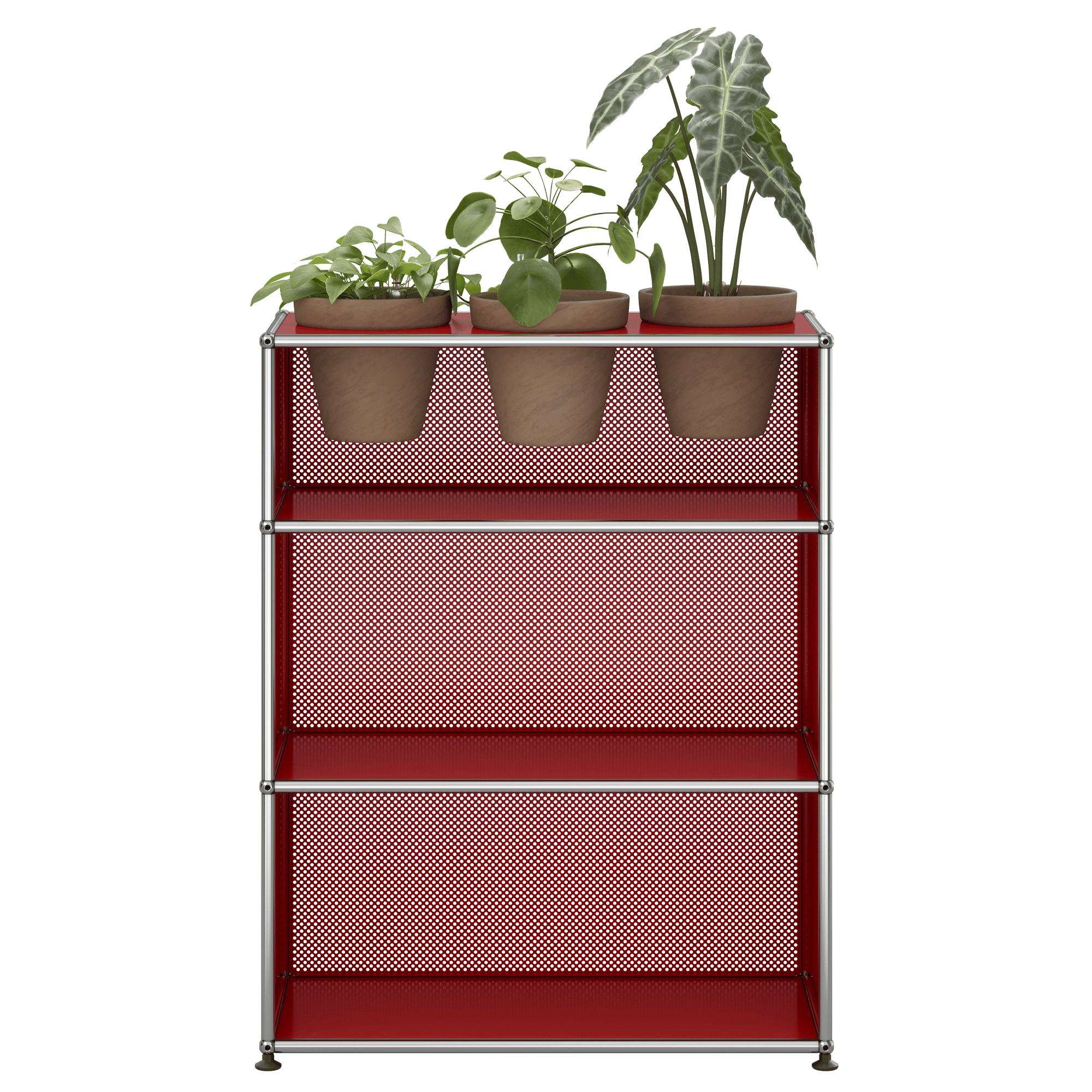 Haller Regal Pflanzenwelt