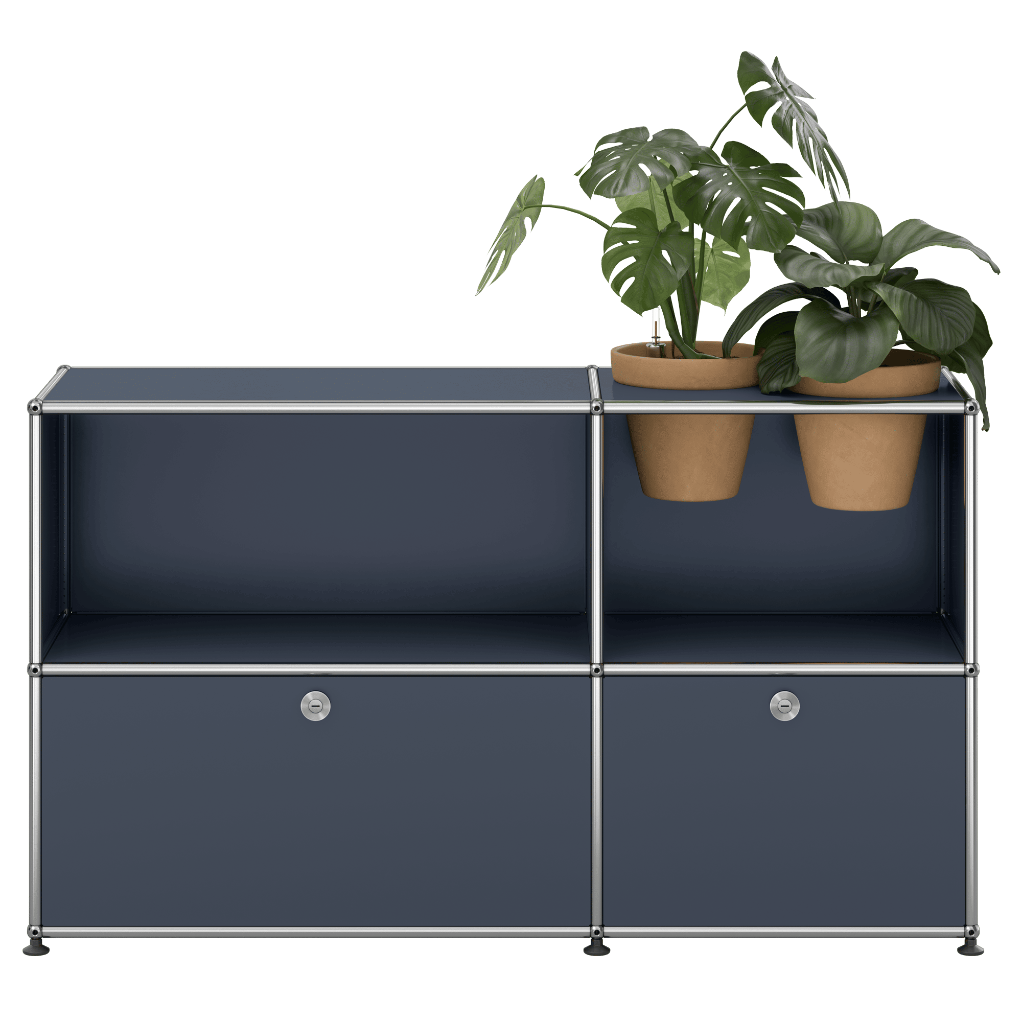 Haller Sideboard Pflanzenwelt