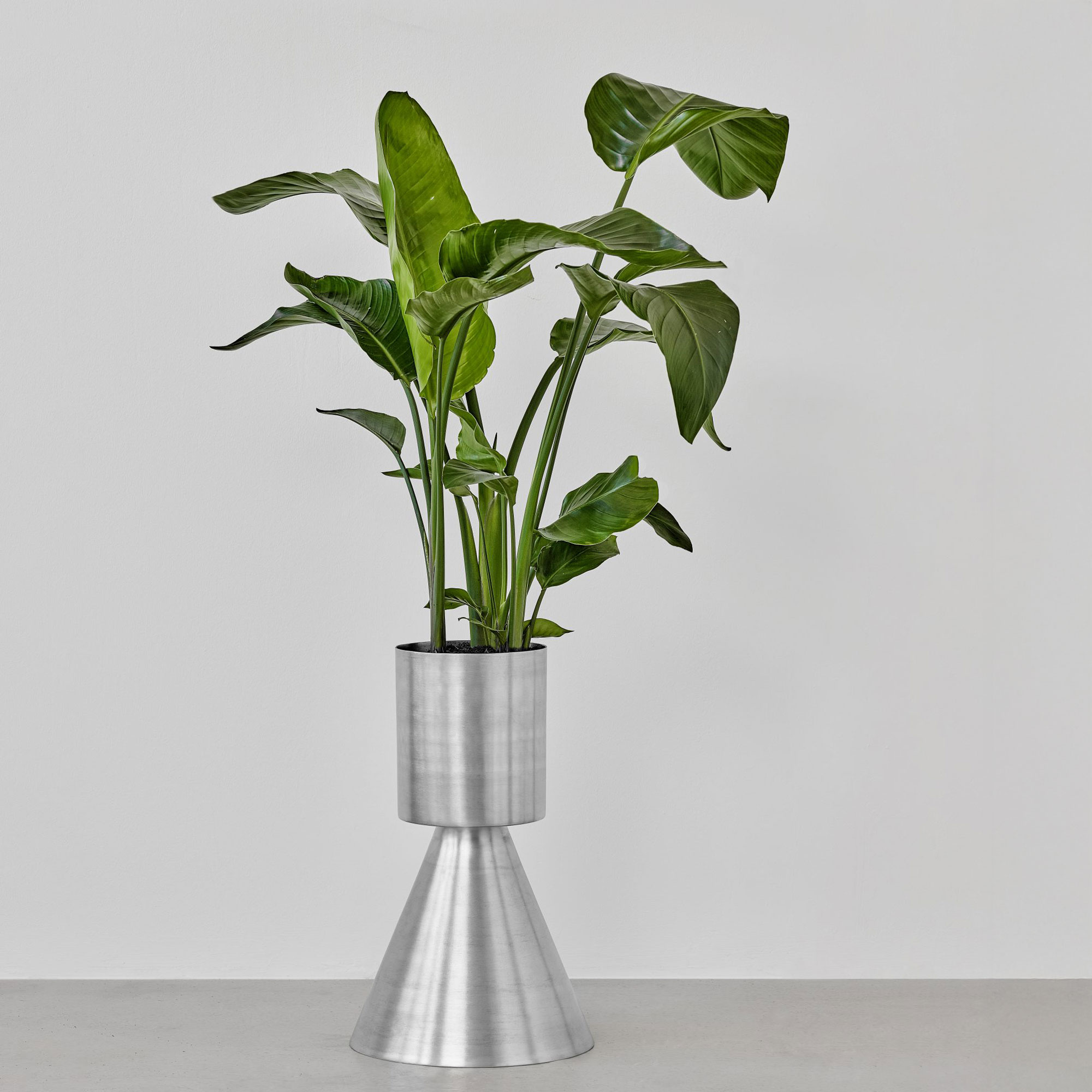 Ada Larg Blumentopf